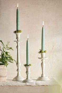 three candles sitting on top of a table next to a potted plant