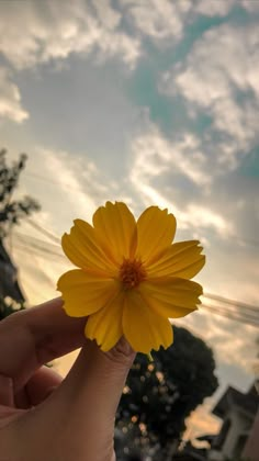 a person holding up a yellow flower in front of the sky with clouds behind them