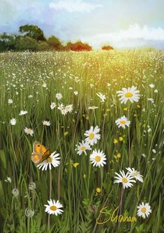 a painting of daisies and butterflies in a field with the sun shining down on them