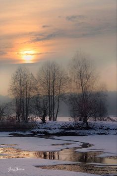 the sun is setting behind some trees in the snow covered field with ice on the ground