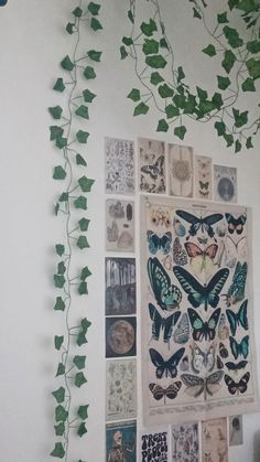 ivy growing up the side of a wall with pictures and butterflies on it, all over