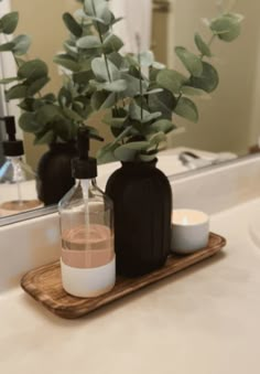 two vases with plants in them sitting on a bathroom counter