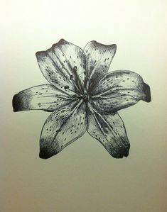 a black and white drawing of a flower