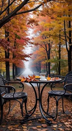 two chairs and a table with food on it in the middle of an autumn park