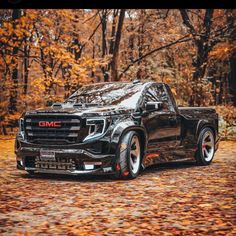 a black truck parked on top of a leaf covered road