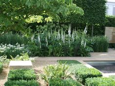 a garden with lots of plants and water in the center, surrounded by shrubbery