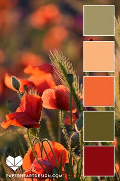 an orange and green color palette with red poppies in the foreground, along with other colors