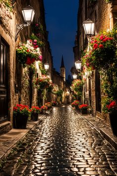 an empty cobblestone street at night with flowers in the window boxes and lights on either side