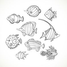 a group of fish that are drawn in black and white on a white paper background