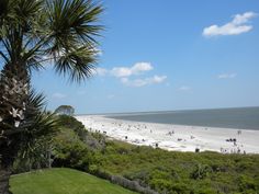 people are on the beach and in the water