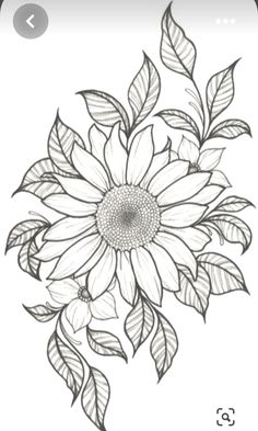 a drawing of a sunflower with leaves on it's back and the bottom half of