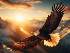 an eagle flying over the mountains at sunset