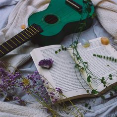 an open book, guitar and flowers on a blanket