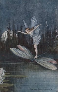 a fairy is flying over some water lilies