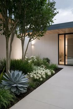 an outdoor garden area with white flowers and plants in the foreground, next to a house