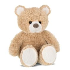 a brown teddy bear sitting up against a white background