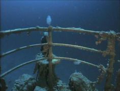 an underwater view of the bottom part of a ship's deck and railings