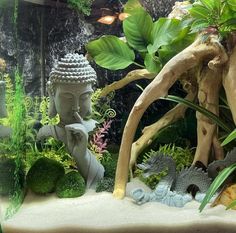 an aquarium filled with plants and statues