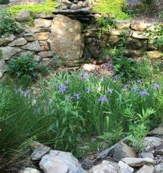 some rocks and flowers near a rock wall