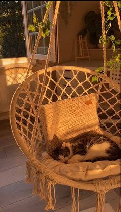 a cat is laying in a hammock chair