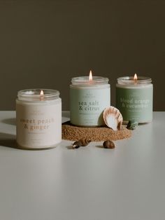 3 summer candles with flames burning: sweet peach & ginger, sea salt & citrus, blood orange & cucumber. the sea salt candle is sitting in sand with sea shells around it. Summer Candle Aesthetic, Candle Ideas Aesthetic, Summer Candles Diy, Aesthetic Candle Pictures, Esthetician Studio, Trendy Candles, Summer In Colorado, Candles Inspiration, Premium Candles