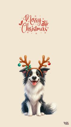 a dog with reindeer antlers on its head sitting in front of a christmas card