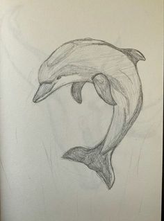 a drawing of a dolphin jumping out of the water