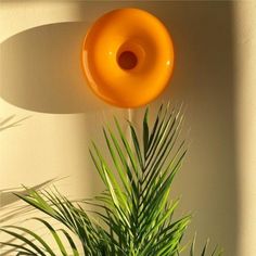 an orange frisbee flying through the air above a plant in a pot on a wall