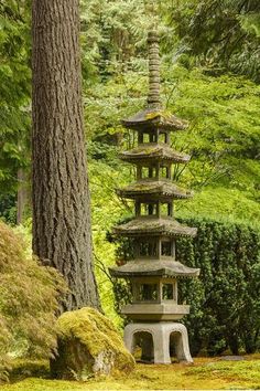 a tall stone pagoda in the middle of a forest with moss growing on it's sides