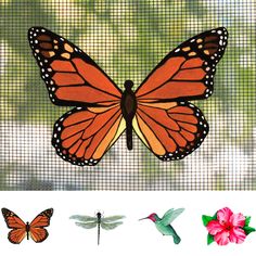 an orange butterfly sitting on top of a window sill next to a pink flower