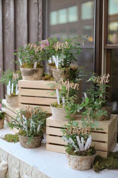 several wooden boxes with plants in them sitting on a table