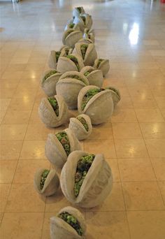 there are many burritos with green beans in them on the floor at the airport