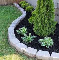 a small garden with green plants in the middle and black mulch on the ground