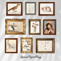 a bunch of framed pictures on a wall with some birds and flowers in them,