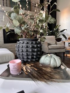 a living room filled with furniture and a fire place covered in potted plants on top of a metal tray