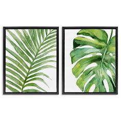 two green leaves are hanging on the wall in front of a white background and black frame