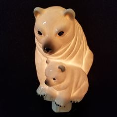 a mother polar bear and her cub on a black background