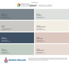 the color scheme for colorsnap visualizer is shown in blue, gray and white