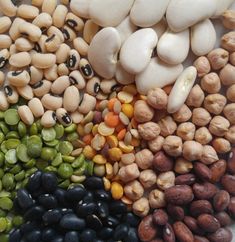 beans, peas, and other vegetables are grouped together