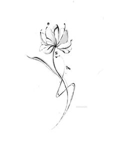 a black and white drawing of a flower