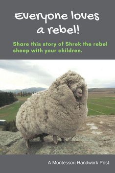 there is a sheep that is on top of a rock with the caption everyone loves a rebel share this story of shre