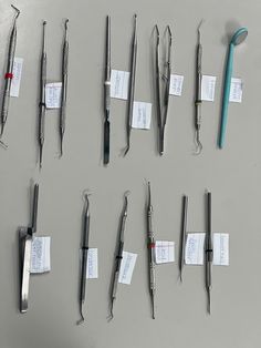 Dental Surgical Assistant, Dental Instruments Names, Dental Tools Names, Dentistry Notes, Dental Notes, Dental Charting, Dental Terminology