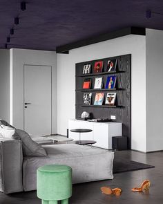 a living room filled with furniture next to a wall mounted book shelf on top of a hard wood floor