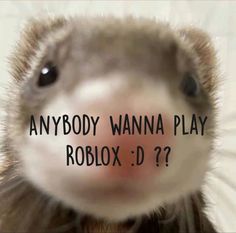 an animal with the words anybody wannan play roblox d? on it's face