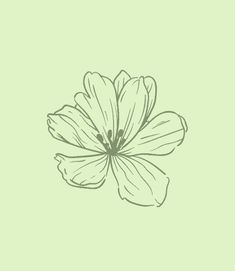 a drawing of a flower on a green background