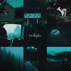 a collage of photos with the words twilight written on them and an image of a deer