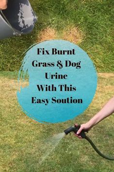 a person using a hose to water grass with the words fix burnt grass & dog urine with this easy solution