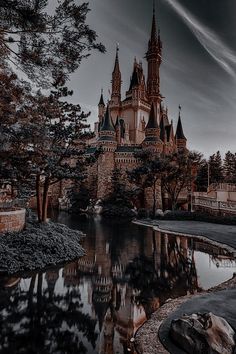 the castle is surrounded by trees and water