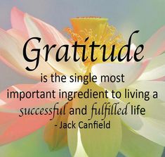 a quote from jack canfield on the meaning of a flower that is blooming