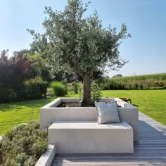 an outdoor seating area with a tree in the center and pillows on the bench below